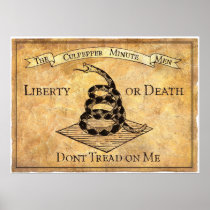 Don’t Tread on Me Print