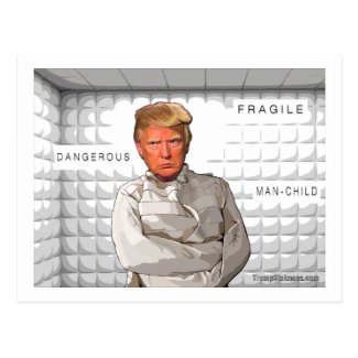 Donald in a straitjacket anti Trump painting