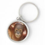 Donald Orangutan at OFI in Borneo Key Chain