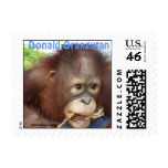 Donald Orangutan Orphan at Care Center Stamp