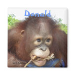Donald Orangutan Orphan at OFI Refrigerator Magnet