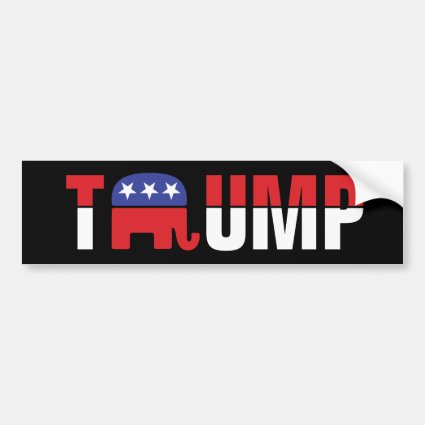 Donald Trump - Enough Said! Car Bumper Sticker