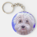 Donaldson's Lucy Keychains