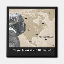 Donde está el imán de la cena