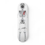 Done In Extreme Skeleton Skateboard