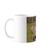 Donkey And Cow  Mug