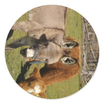 Donkey And Cow Sticker by dtp455 Donkey And Cow Sticker