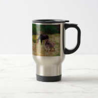Donkey and horse in a Fall Field. Coffee Mug