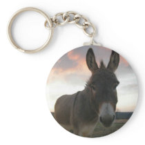 Donkey Art Keychains
