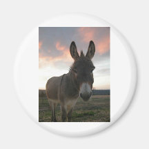 Donkey Art Magnets