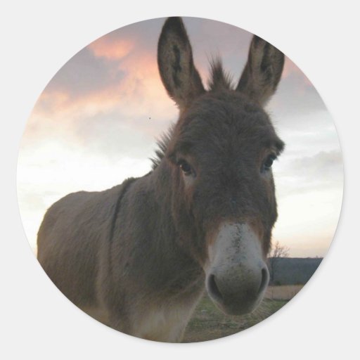 8,000+ Donkey Stickers and Donkey Sticker Designs Zazzle