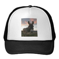 Donkey Art Trucker Hat
