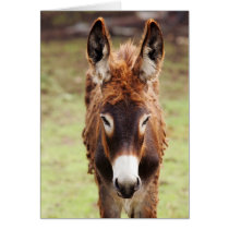 Donkey Bad Hair Day cards