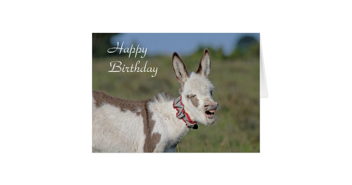 Donkey birthday card | Zazzle