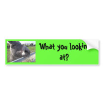 Donkey Bumper Sticker bumper stickers by angeleyes_9136 Donkey Bumper Sticker bumper stickers