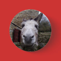 Donkey buttons