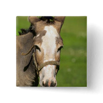 Donkey Buttons