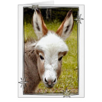 Donkey cards
