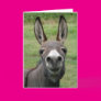 Donkey Greeting Cards