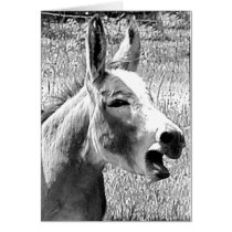 Donkey cards
