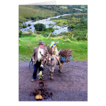 Donkey cards