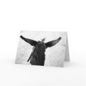 Donkey cards by Johan_den_Hollander Donkey cards