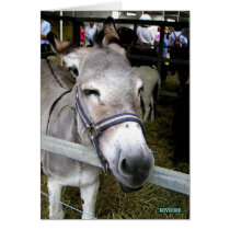 Donkey cards