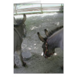 Donkey Card!