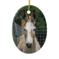 Donkey Christmas Ornament