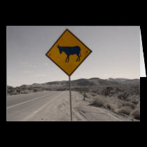 Donkey Crossing cards