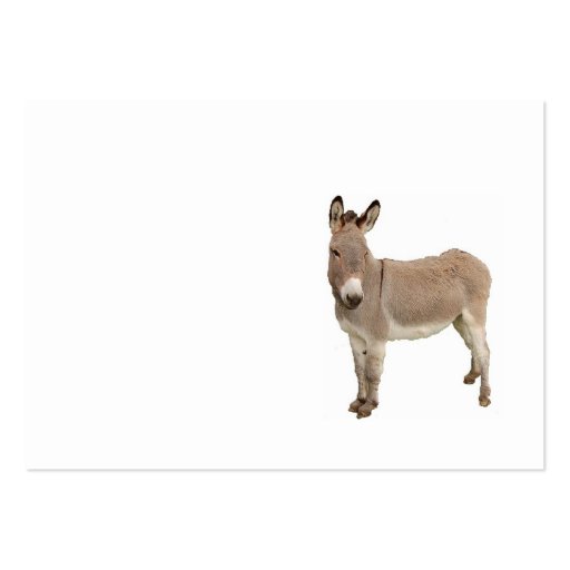 Donkey Design Business Card (front side)