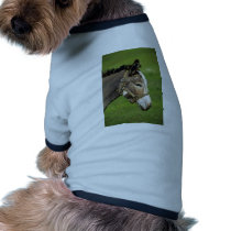 Donkey Pet Clothing