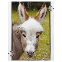 Donkey flyers by Trudy2 Donkey flyers