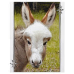 Donkey flyers