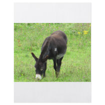 Donkey Flyer Design