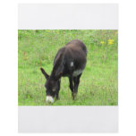 Donkey flyers