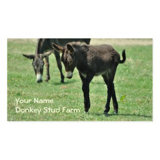 Donkey foal business card