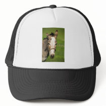 Donkey Mesh Hat