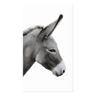 Donkey Head Profile profilecard