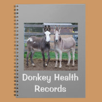 Donkey Health Records Notebook notebooks