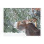 Donkey Holiday Postcard