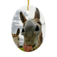 Donkey Humour Ornaments