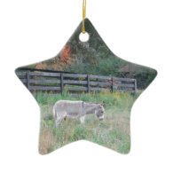 Donkey in a Fall Autumn Field. Christmas Ornaments