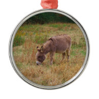 Donkey  in a Fall Field. Christmas Ornament