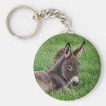 Donkey In The Grass Key Chains