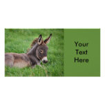 Donkey In The Grass Photo Card
