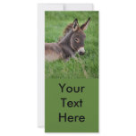 Donkey In The Grass Custom Rack Cards