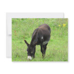 Donkey Invites