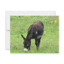 Donkey invitations by A_Phoenix Donkey invitations