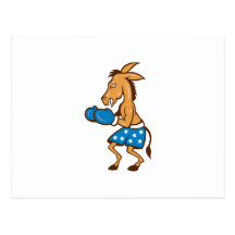 Donkey Jackass Boxer Victory Post Cards